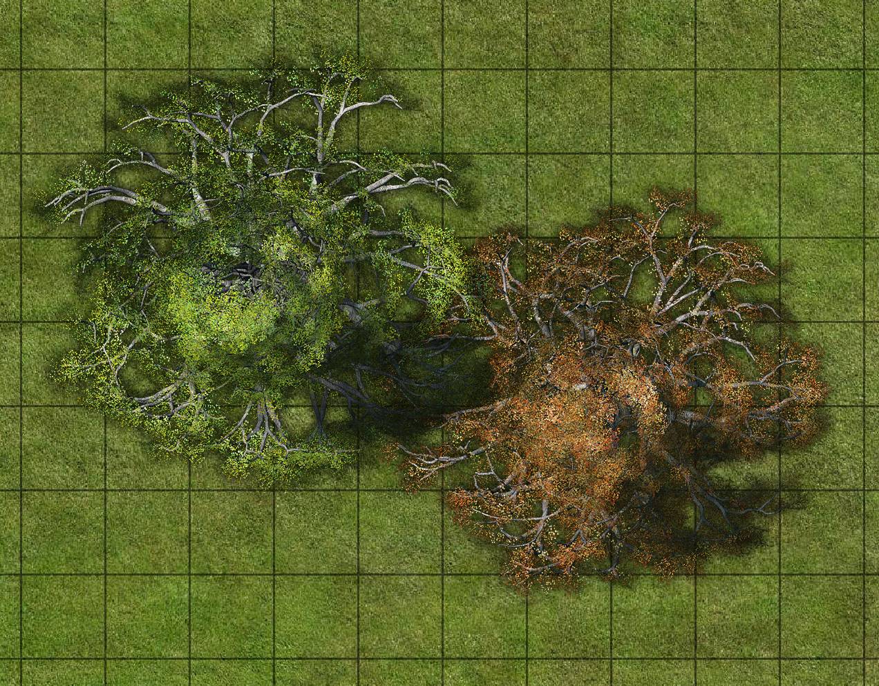 9CE_lime_trees_sample